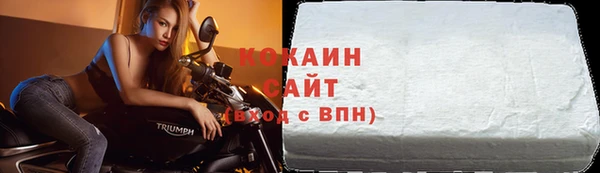 гашик Зеленокумск