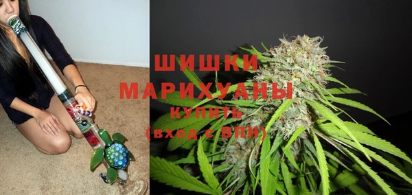 гашик Зеленокумск