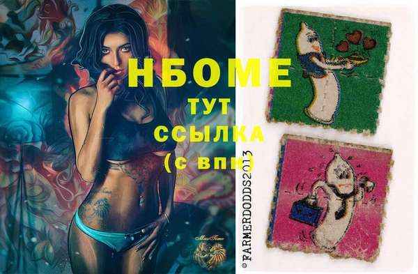 гашик Зеленокумск