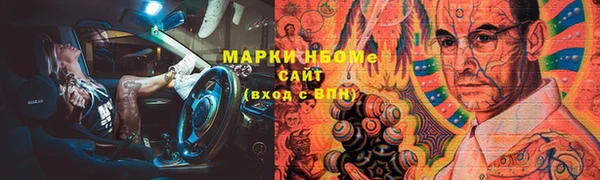 гашик Зеленокумск