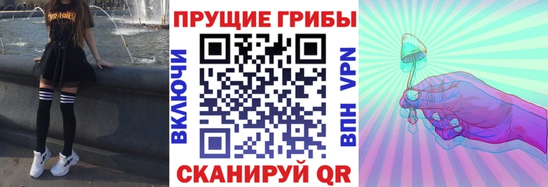 Галлюциногенные грибы Psilocybe  Купить закладки  Гусь-Хрустальный 
